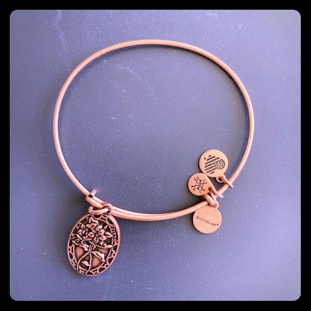 Alex and Ani Fiend bangle